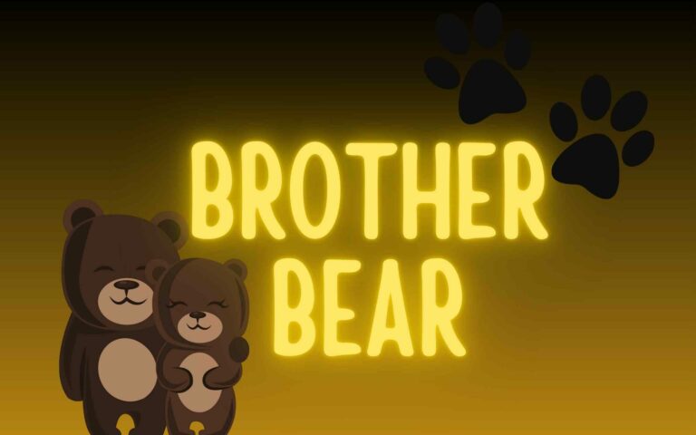 Brother Bear Birthday Party | Ideas, Games & Activities