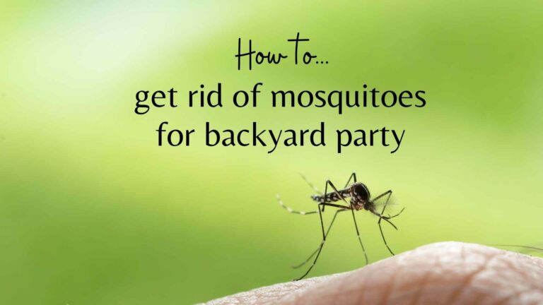 14 TOP TIPS to get rid of mosquitoes for back yard party